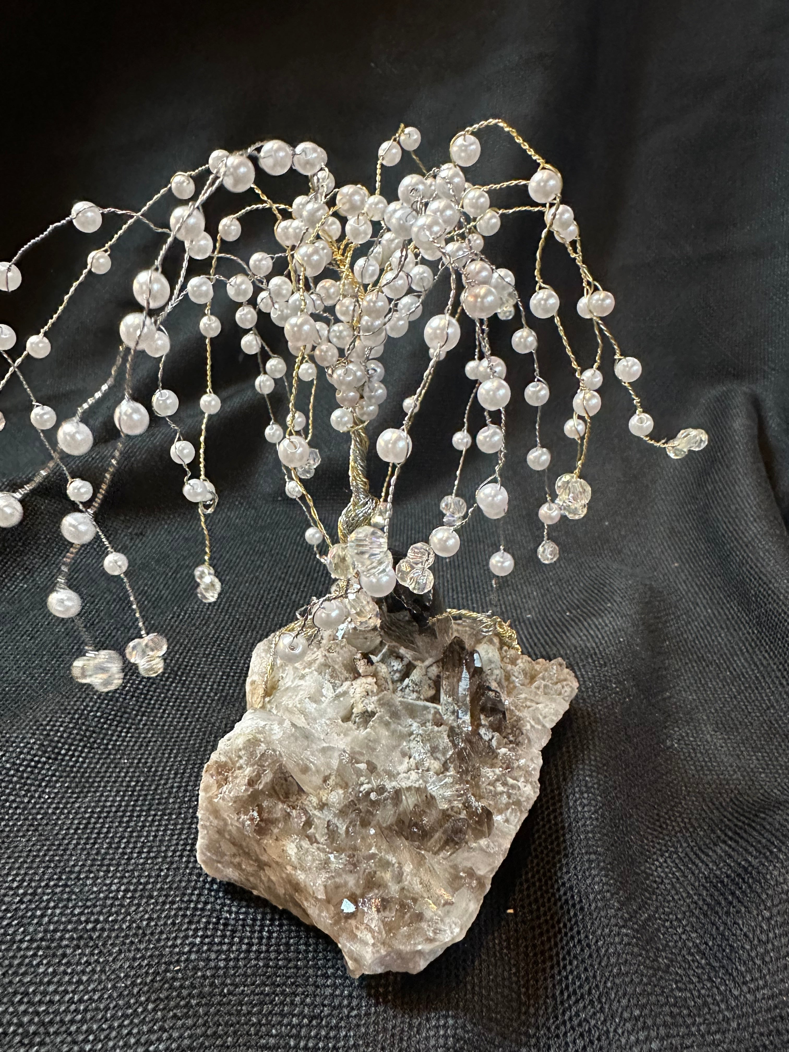 Pearls on the Willow Tree