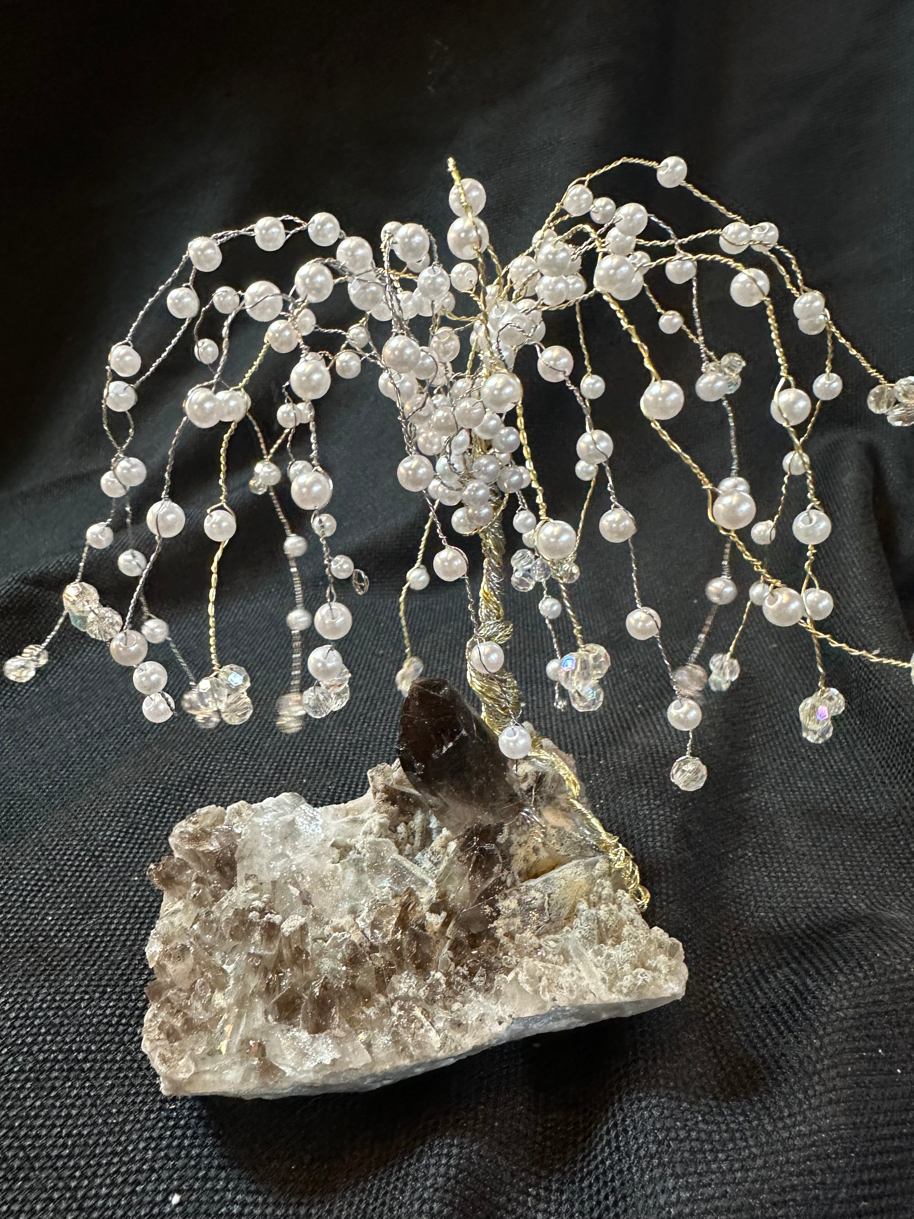 Pearls on the Willow Tree