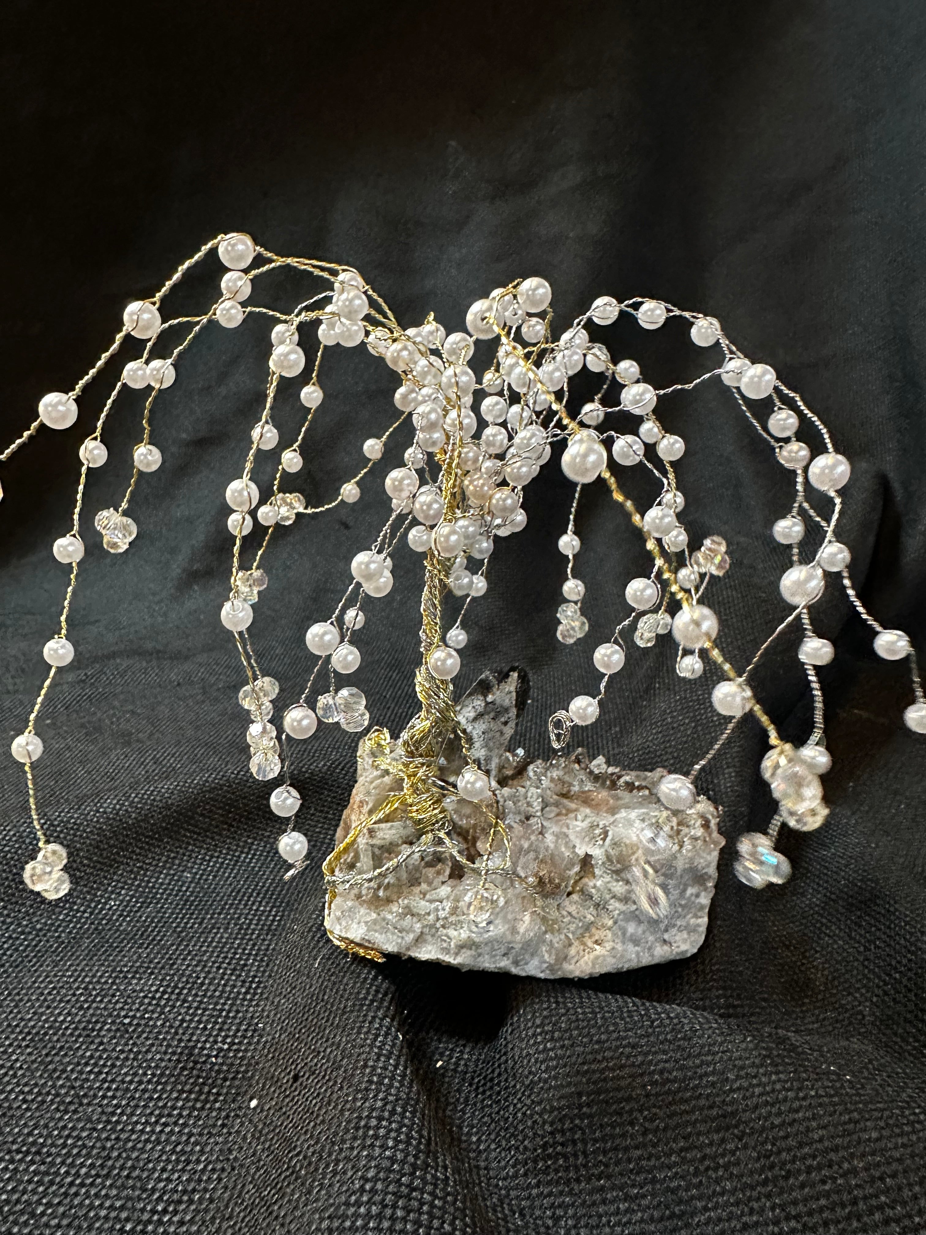 Pearls on the Willow Tree