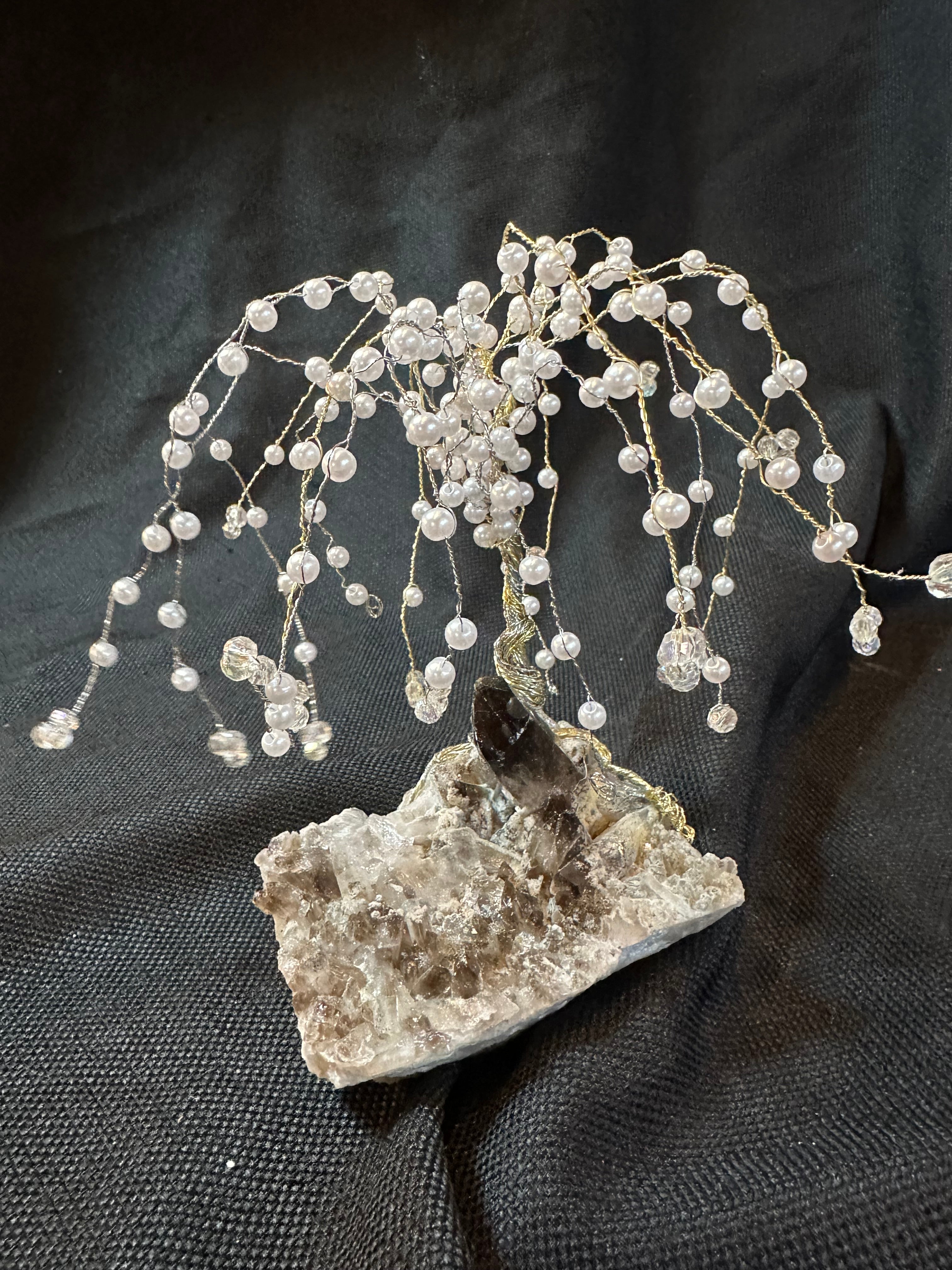 Pearls on the Willow Tree